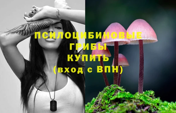 кокаин премиум Козловка